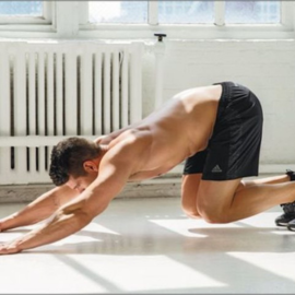 پرس آپ معکوس