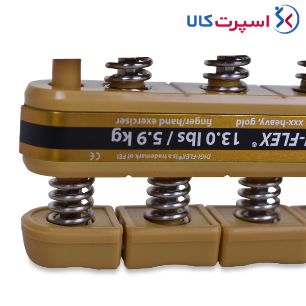 دیجی فلکس TheraBand